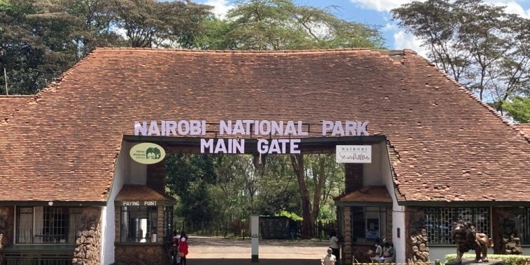 V.I.P Nairobi National Park Day Tour