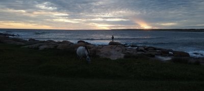 Cabo Polonio - Full Day Private Tour