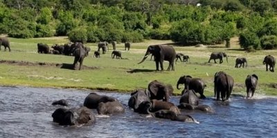 Multi-Day Tours & Cruises