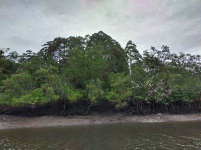 3 Days 2 Nights Kuching, Sarawak