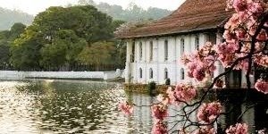 Sri Lanka Road Trip 9 Nights 10 Days