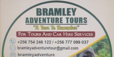 Transfers & Round-Trips