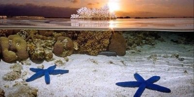 Bunaken Island three-point snorkeling includes lunch