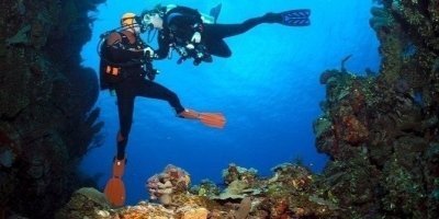 Dive 3 Points on Bunaken Island Including Lunch