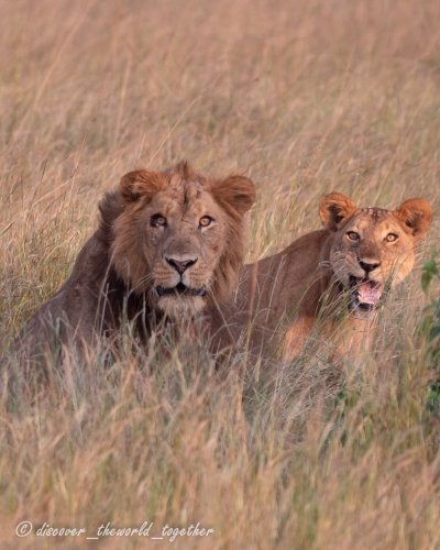 3 Days Rwanda Akagera Wildlife Safari