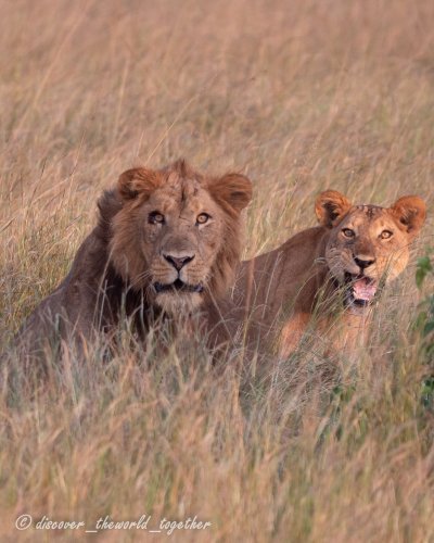 3 Days Rwanda Akagera Wildlife Safari