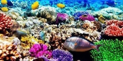 Water Activities & Sports