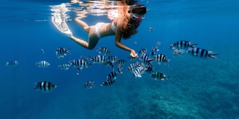 Blue Lagoon Snorkeling & Starfish Zanzibar