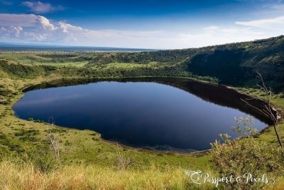 4 days Queen Elizabeth National game park tour