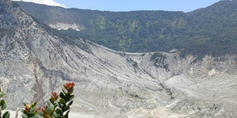 From Jakarta : Volcano, Tea & Rice Fields, Hot Spring