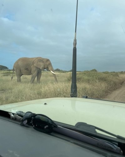 Overnight Private Safari to Amboseli National Park from Nairobi