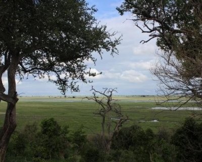 Chobe National Park Day Trip Chobe National Park Day Trip