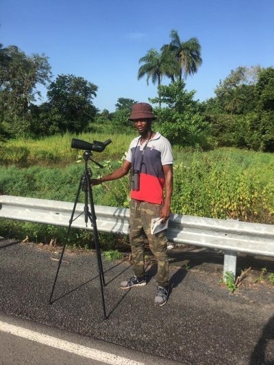 Gambian Excursions Birdwatching trips