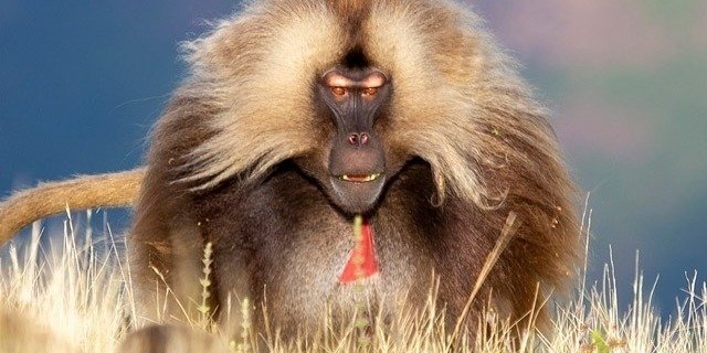 3 Days Trekking Tours