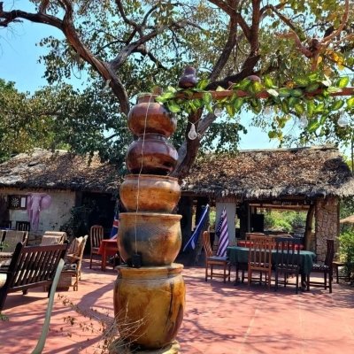 Wildlife and tea tour