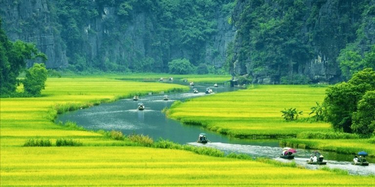 Hoa Lu - Tam Coc - Mua Cave 1 day Tour with Transfer and Lunch