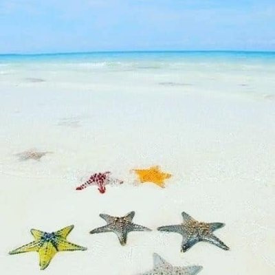 MNEMBA ISLAND(ATOLL-BILGE ISLAND PRIVATE)WELCOME TO MNEMNBA ISLAND,