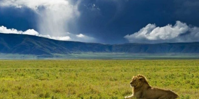 East African Safari Package in Tanzania - 7 Days