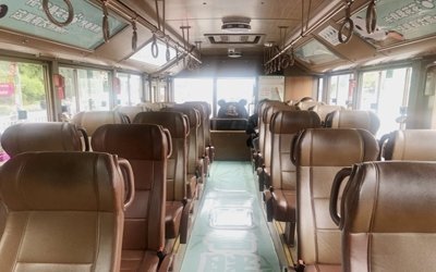 Chengdu panda base half day private tour