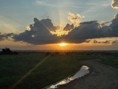 3 Days 2 Nights group joining to Maasai mara in a land cruiser