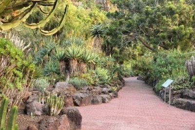 Vegueta, Botanical Garden and Bandama Crater - Las Palmas Tour