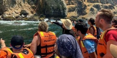 Swimming with sea lions in the Palomino Islands