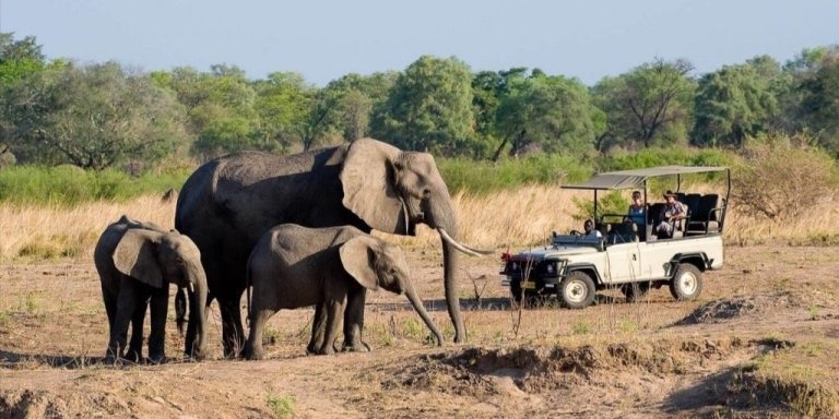 Game Drive in the Zambezi National Park