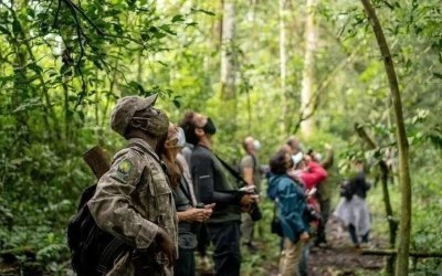 4 Days Gorilla Tracking Tour