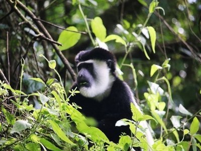 10 DAYS MOUNT KILIMANJARO TREK LEMOSHO ROUTE