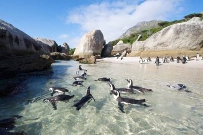 10-DAY CAPE TOWN MINDFUL MOUNTAIN & OCEAN RETREAT