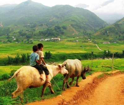 Discover Sapa's Beauty: Unforgettable Sapa Trekking Tours Await