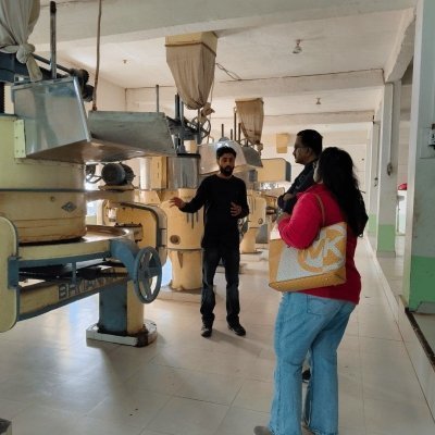 Guided Tea Garden Tour with Tea Tasting Session