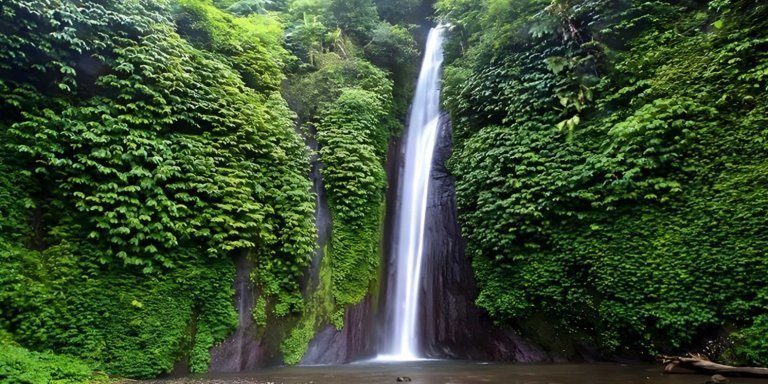 Private Full-Day Tour: North Bali Tour