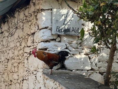 Cidade velha Half day tour