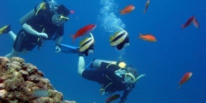 Discover Scuba Dive From Kusadasi / Selcuk