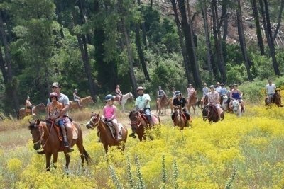 Horseback Riding From Kusadasi Port / Hotels