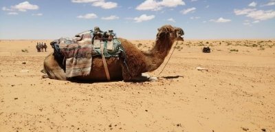 Private Tunisia Tour Private Tunisia Tour