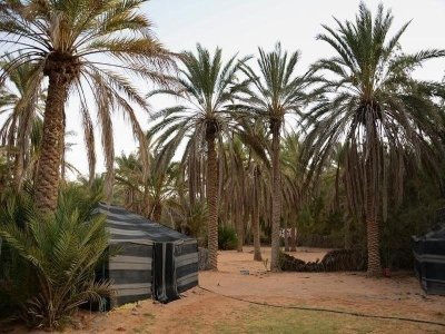 Ksar Ghilane Private Day Tour Ksar Ghilane Private Day Tour