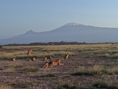 5 DAYS AMBOSELI, LAKE NAIVASHA & MASAI MARA GAME RESERVE SAFARI