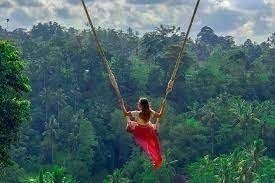 Bali : Instagram HighLight Tour With Guided