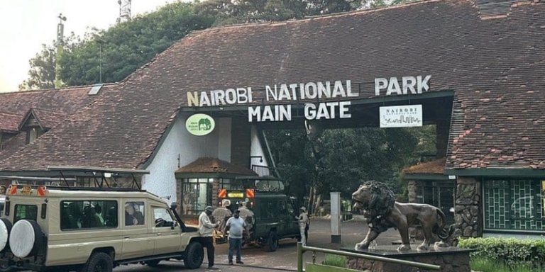 Nairobi National Half-Day Tour with Guide