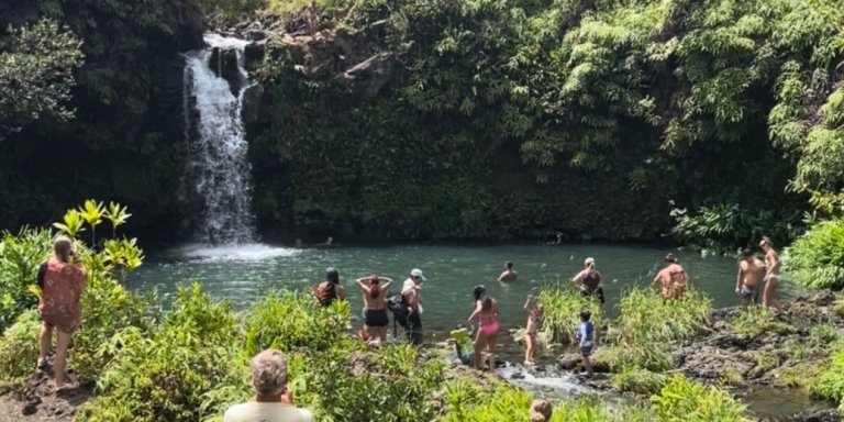 Road to Hana tour - lunch included