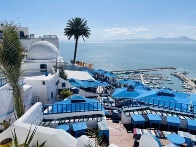 Half day Carthage & Sidi Bou Said