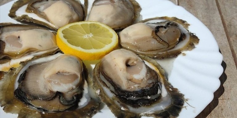 Ston oysters and wine tasting tour from Dubrovnik