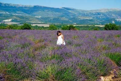 Verdon Canyon and Lavender field, private tour