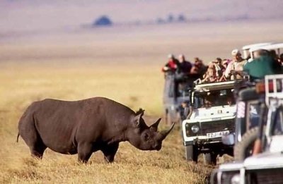 3 Days Big Five and Migration Safari in Serengeti and Ngorongoro