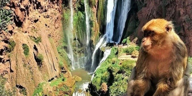 Ouzoud Waterfalls Day Trip