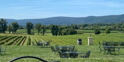 Wine, Food Tours & Tasting