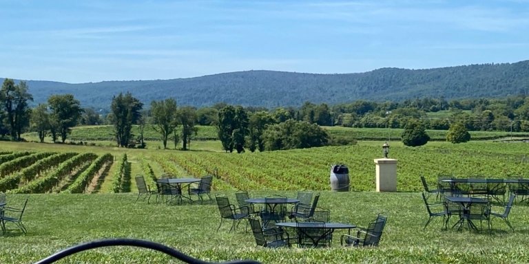 Virginia Vines: An Exclusive Winery Wonder Private Tour