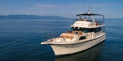 Boat Trips & Charters
